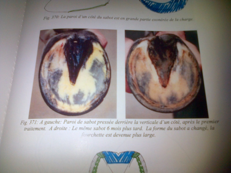 Comment savoir si son cheval a mal aux pieds ? - Page 2 Img-2012