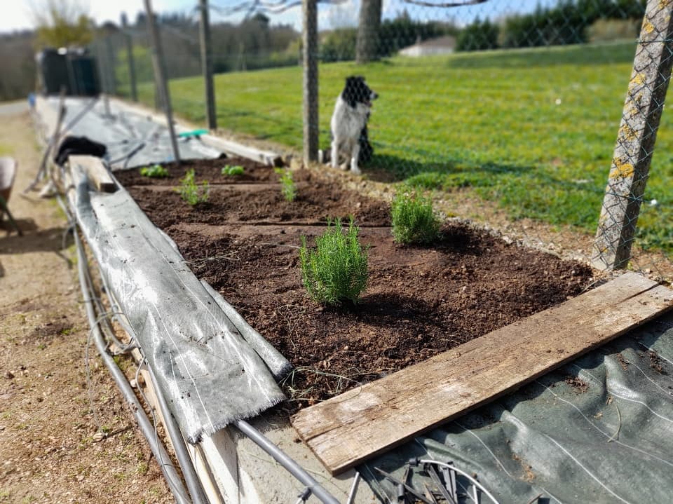 Planche de jardin à bonne hauteur. Aromat10