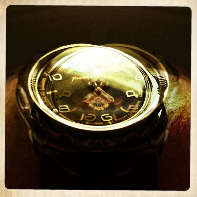 vostok komendirskie classique Img_7617