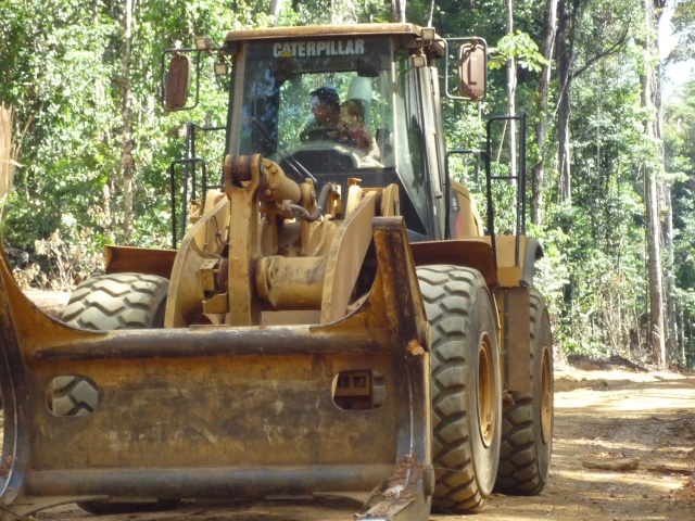 Outremer- découverte de la Guyane - Page 9 P1020470