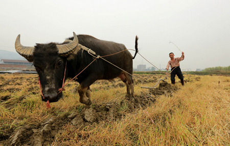 Chine - Chine - Page 12 F2013011