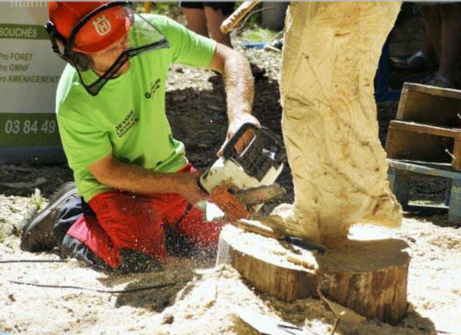 88 - Haut du Tôt :  Fête du bois et expo tracteurs les 7/8 Juillet 2018  Captur16