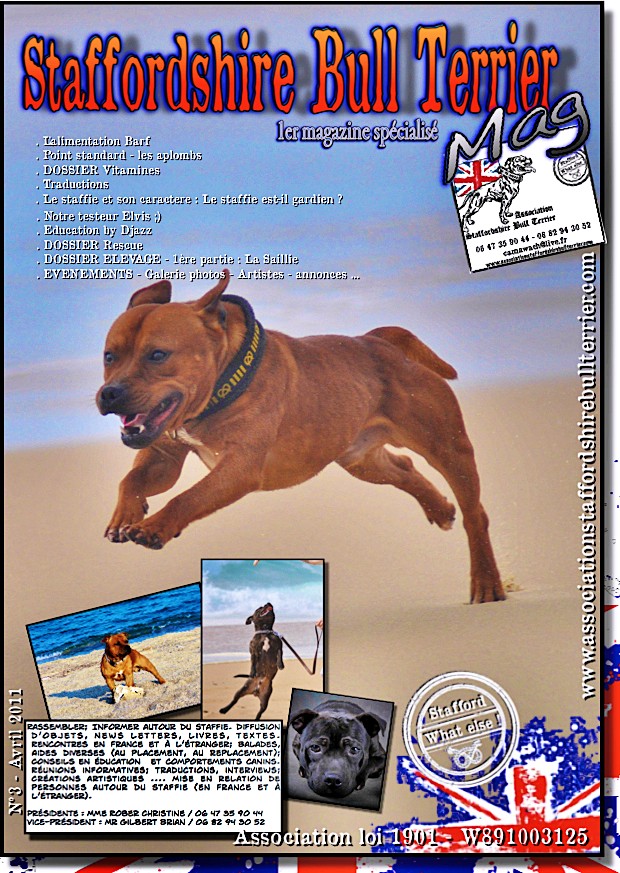 Résumé de 15 ans de Passion pour le staffie ... ✫˜”*°•.✫`'*°☆..`'*☆.ღ.☆*'´..☆°*'´``✫ Couver10