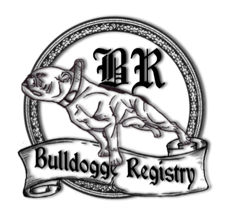 www.thebulldoggeregistry.com Logo_b10