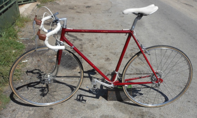 Gitane??? Dscn4340