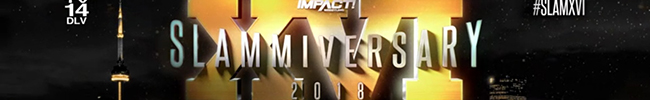 IMPACT Wrestling: Slammiversary XVI Slammi11