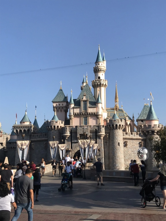 Disneyland Anaheim 2018 Trip Report Video,Photo,Mariage a Vegas et plein de parc d'attractions(Californie,Arizona,Utah,Nevada) Img_8130