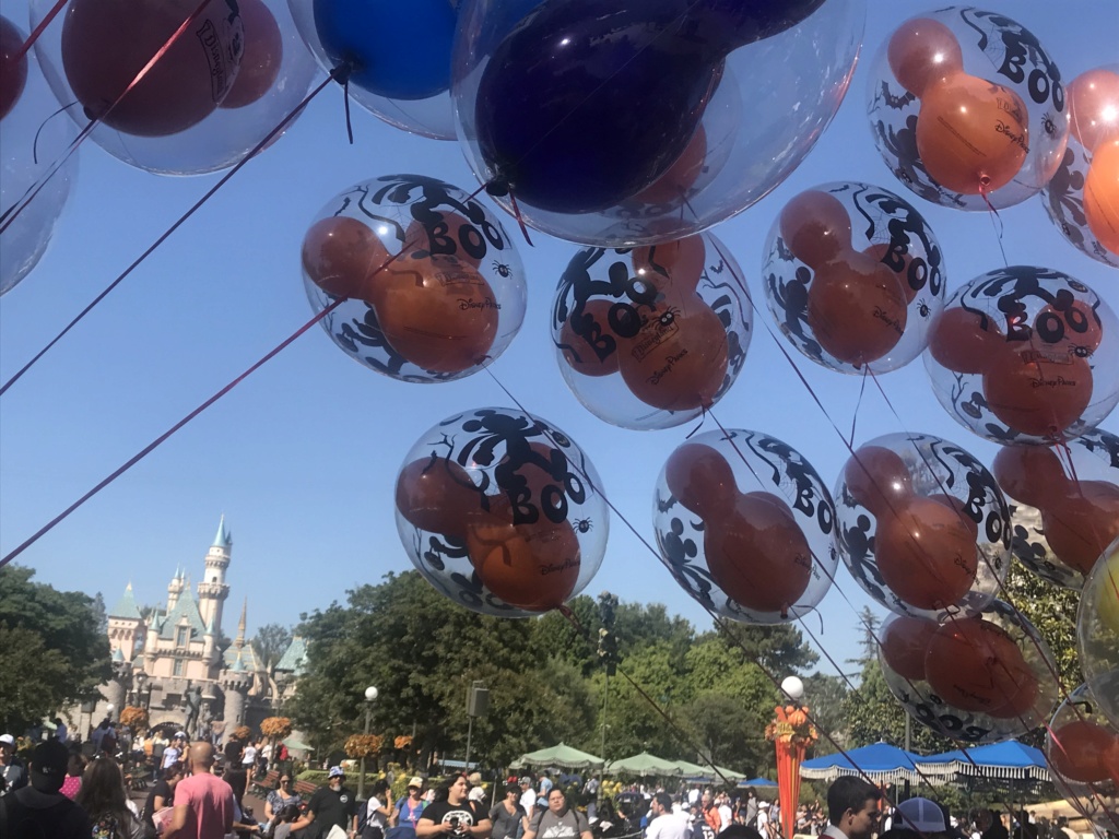 Disneyland Anaheim 2018 Trip Report Video,Photo,Mariage a Vegas et plein de parc d'attractions(Californie,Arizona,Utah,Nevada) Img_8311