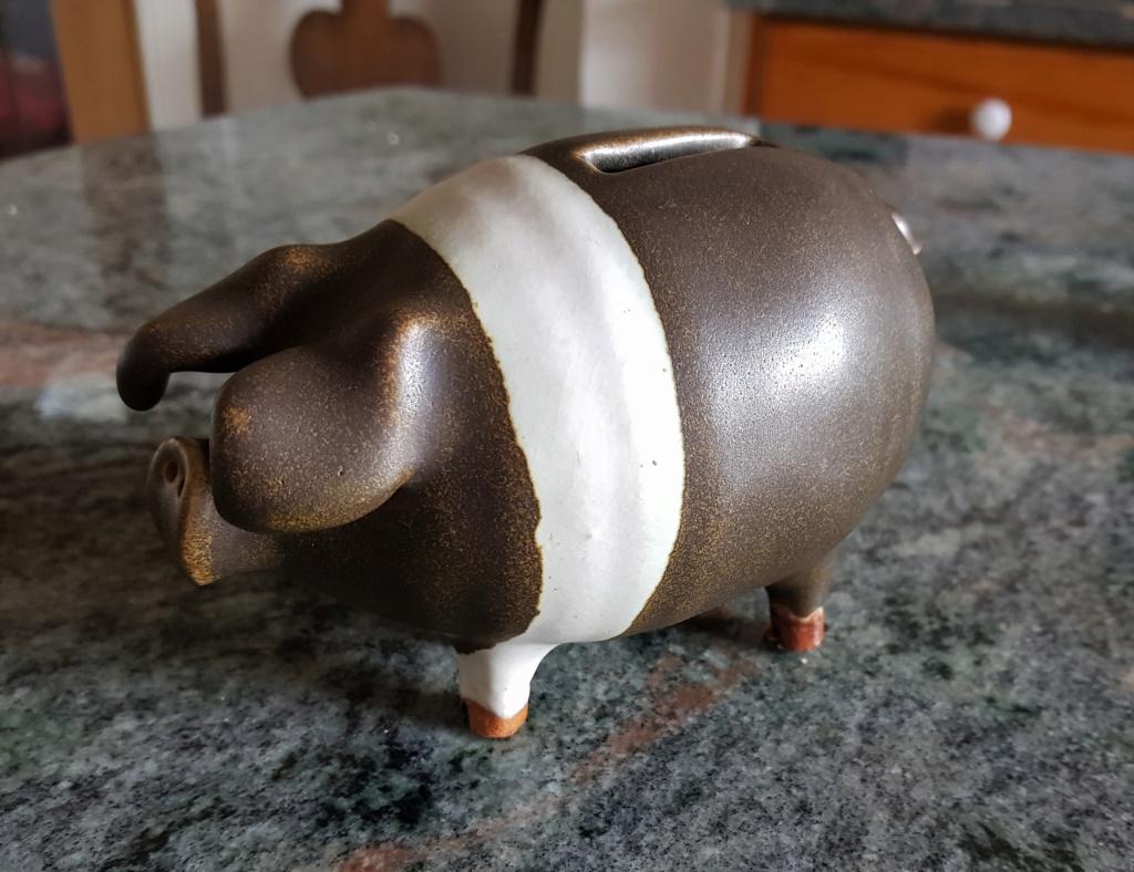 Saddleback Piggy Bank 2019-017