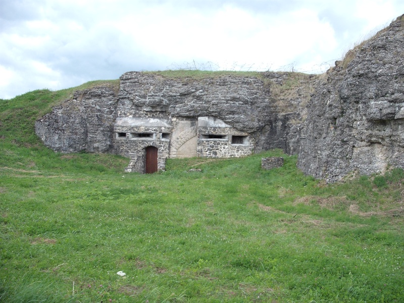 fort d'Authemont Fort_d29