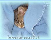 bonzour bonne zournée et bonne nuit notre ti nid za nous - Page 39 N_ui_t12