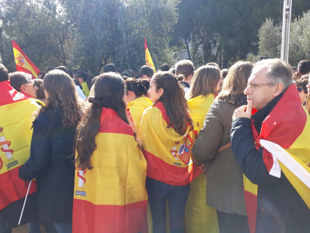 Juventudes de VOX en la manifestación España Siempre de la plaza Colón Manife19