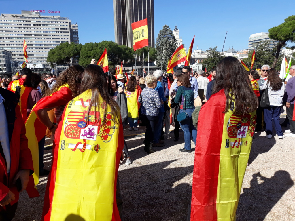 Juventudes de VOX en la manifestación España Siempre de la plaza Colón Manife21