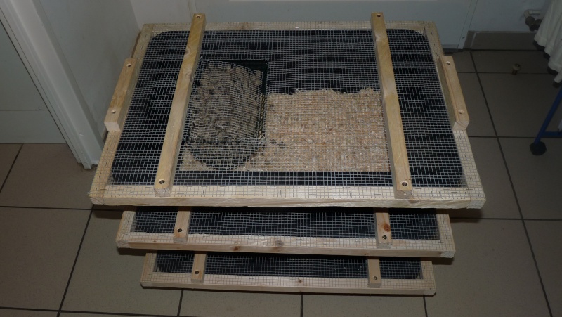 Cages élevage Rat & Souris P1090419