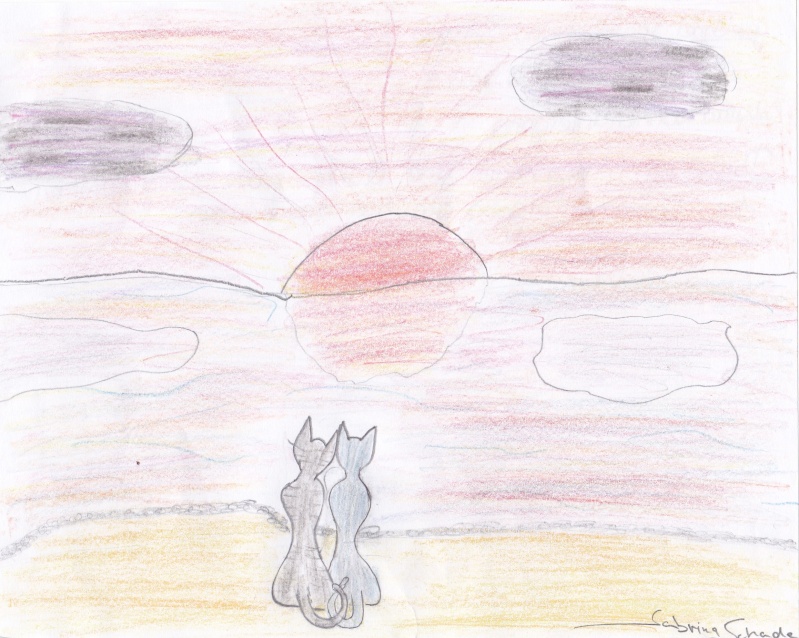  Meine Warrior Cats Geschichte. - Seite 11 Wasser10