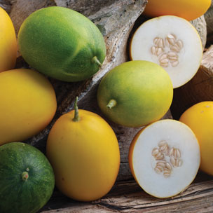 Limun (mango) melon-Limun dinja ili Mango dinja 316