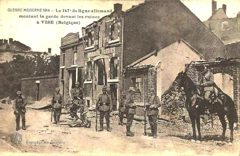  La Belgique et la Grande Guerre  Vise-110