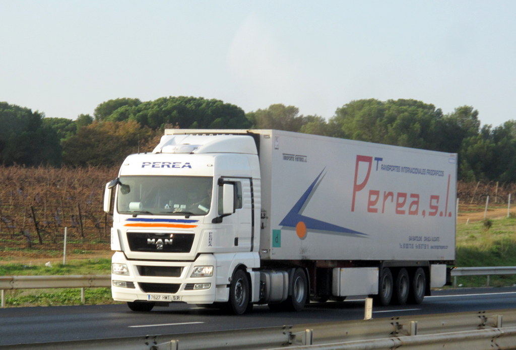 Transportes Perea s.l. (San Bartolomé-Orihuela - Alicante) Img_1624
