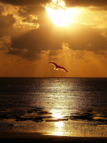 Fotografías del mar Atarde10