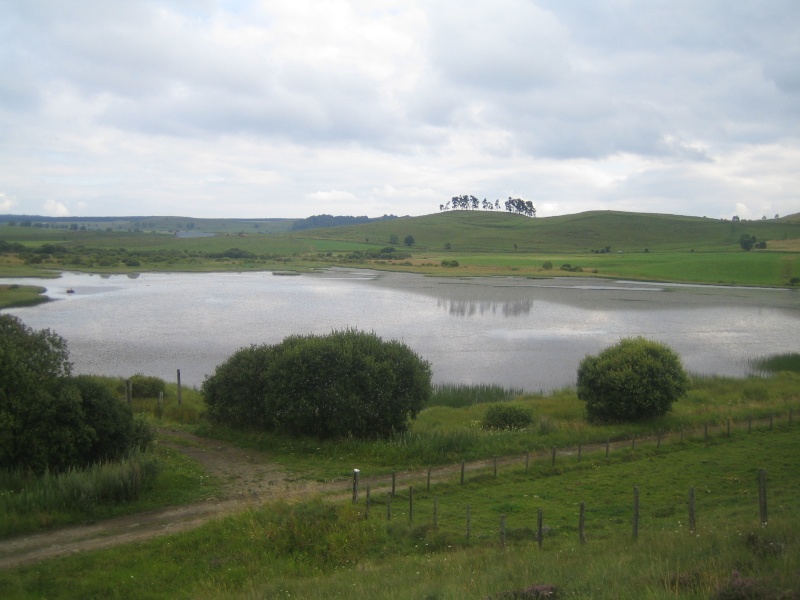 Vallée de la Santoire Fabie137