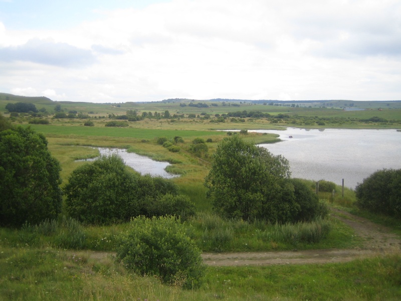 Vallée de la Santoire Fabie138