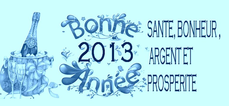 Meilleurs voeux pour 2013 Bonne_10