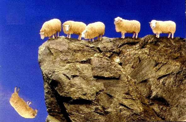 Obama Supporters,Group Portrait Sheep_10