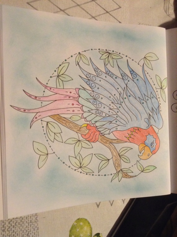 Crayons Da vinci de chez Action Img_0411