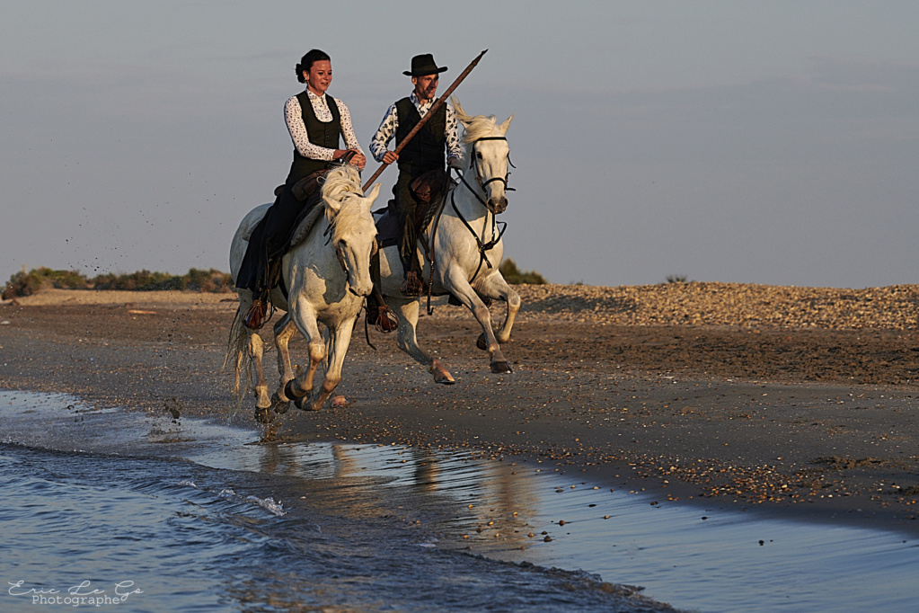 Promenade à cheval dans le Trièves Eric_l10