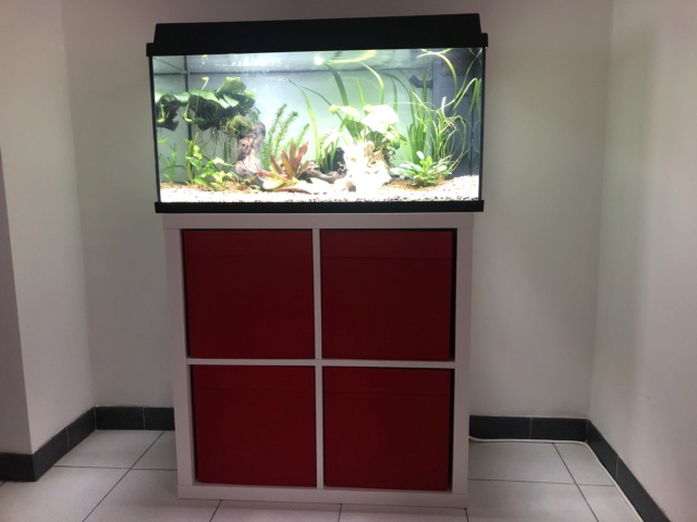 Aquariophilie 009d6010