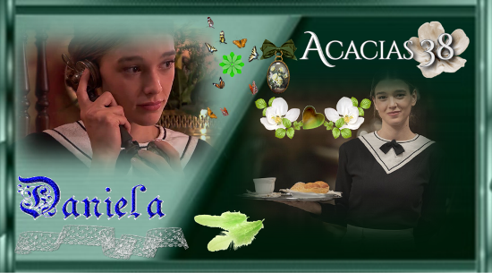 https://i.servimg.com/u/f14/18/84/84/24/acacia10.png