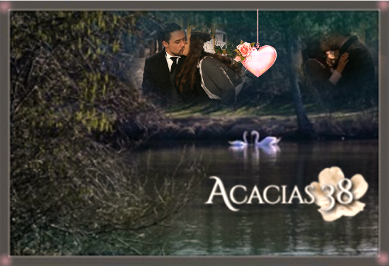 https://i.servimg.com/u/f14/18/84/84/24/acacia12.png
