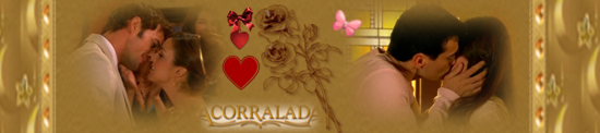 https://i.servimg.com/u/f14/18/84/84/24/acorra15.png