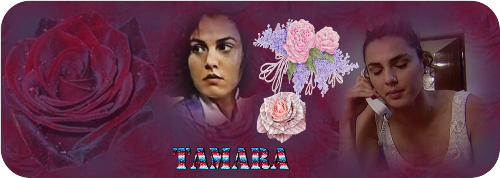 https://i.servimg.com/u/f14/18/84/84/24/adrena13.png