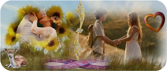 https://i.servimg.com/u/f14/18/84/84/24/amor_e13.png