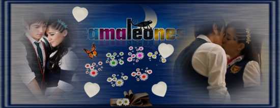https://i.servimg.com/u/f14/18/84/84/24/camale11.png