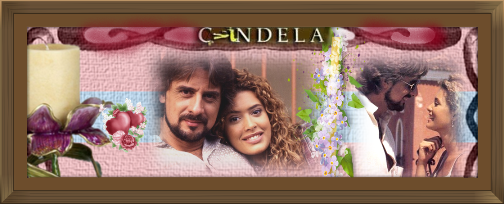https://i.servimg.com/u/f14/18/84/84/24/candel10.png