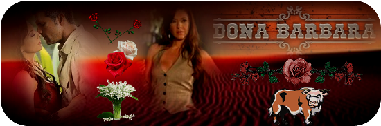 https://i.servimg.com/u/f14/18/84/84/24/dona_b12.png