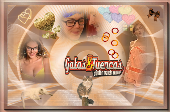 https://i.servimg.com/u/f14/18/84/84/24/gatas_11.png