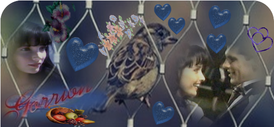 https://i.servimg.com/u/f14/18/84/84/24/gorrio10.png