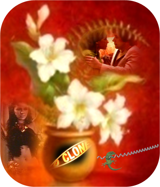 https://i.servimg.com/u/f14/18/84/84/24/o_clon13.png