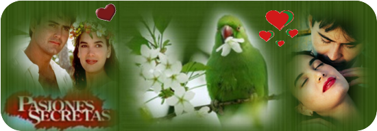 https://i.servimg.com/u/f14/18/84/84/24/pasion14.png