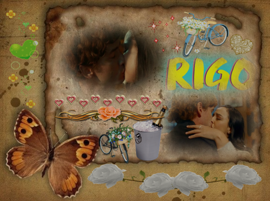 https://i.servimg.com/u/f14/18/84/84/24/rigo10.png