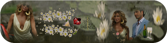 https://i.servimg.com/u/f14/18/84/84/24/sin_se12.png