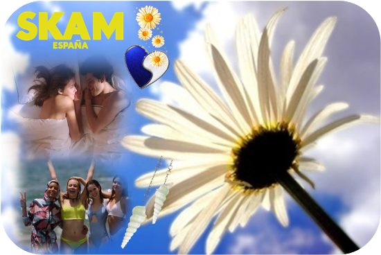 https://i.servimg.com/u/f14/18/84/84/24/skam_e12.png
