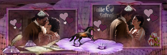 https://i.servimg.com/u/f14/18/84/84/24/valle_31.png