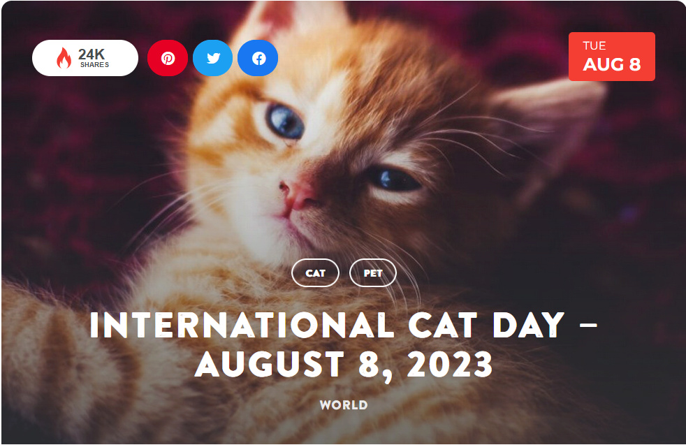 National Today Tuesday August 8 International Cat Day Aug_810