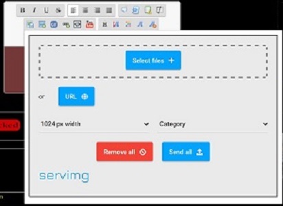 PREPARING AND HOSTING AN IMAGE Host_i13