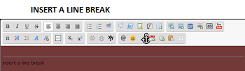 THIS EDITOR & IMAGE HOST Insert11
