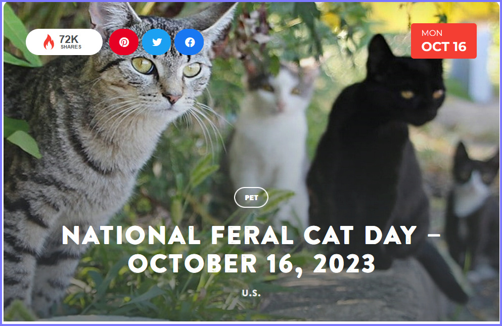 National Today Monday October 16 * National Feral Cat Day * Oct_1610